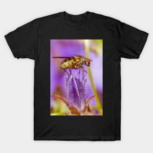 Fly T-Shirt